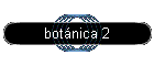 botnica 2